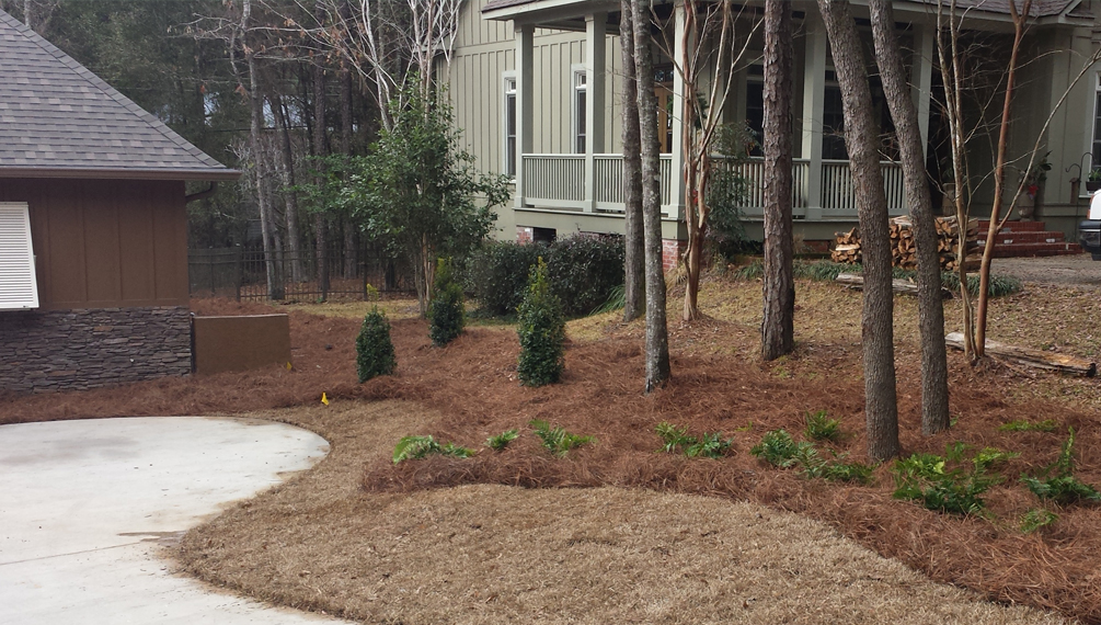 commercial and residential landscape